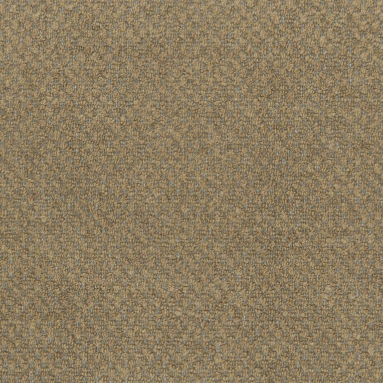 Fennel Seed 82