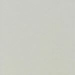 Silver Birch 09 | Aral