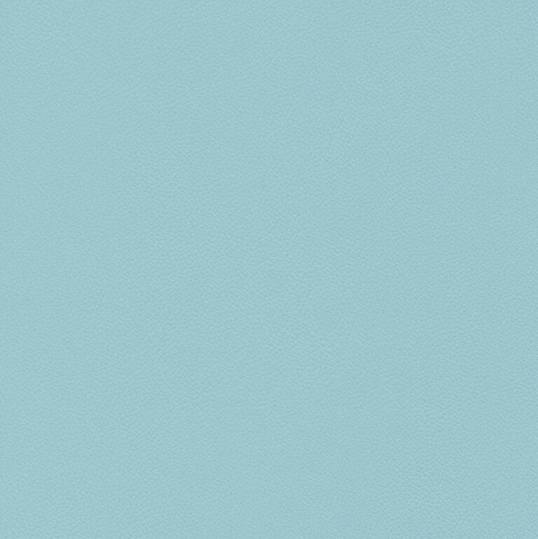 Winter Sky 16