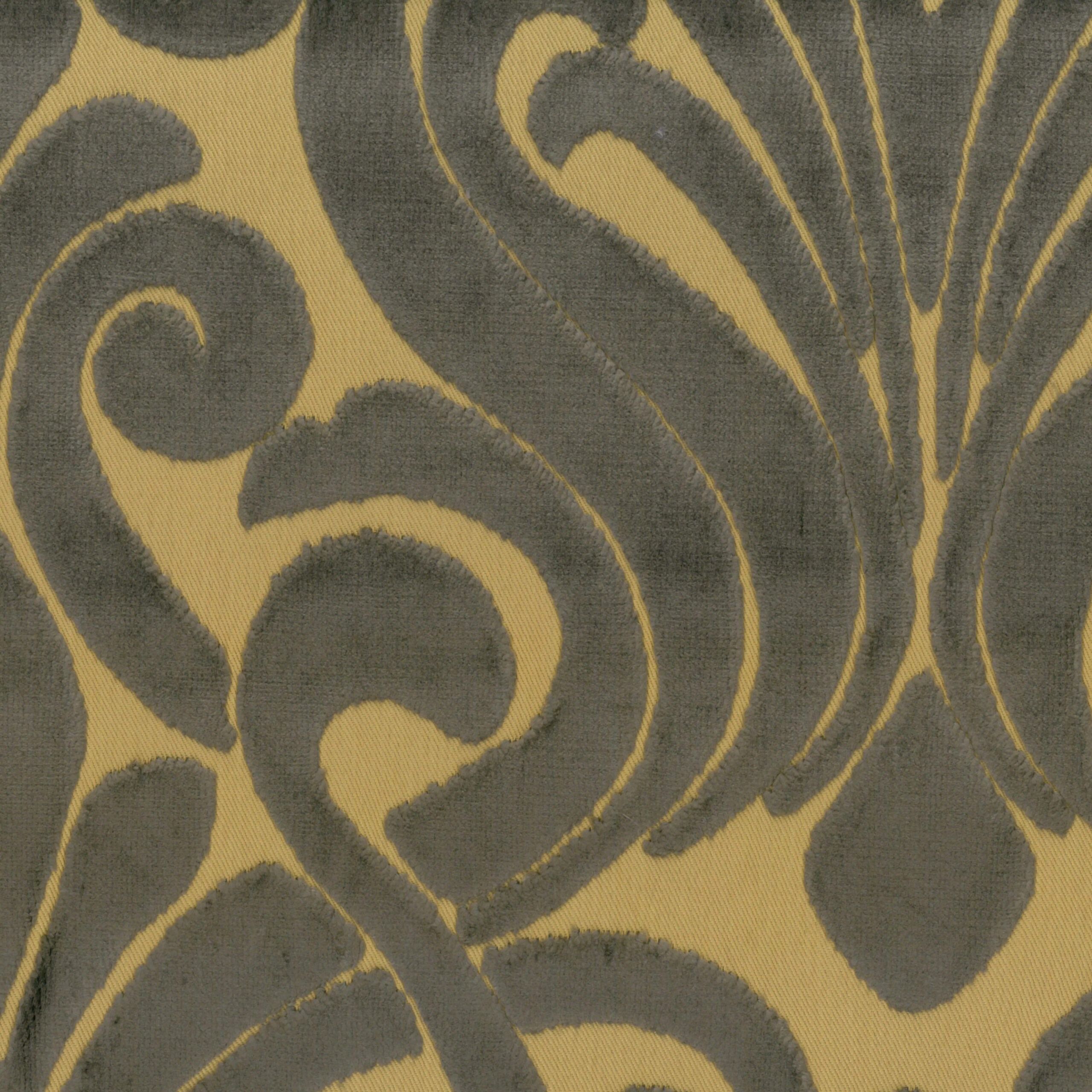 Camel 06 | Armando