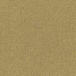 Mustard 05 | Arno