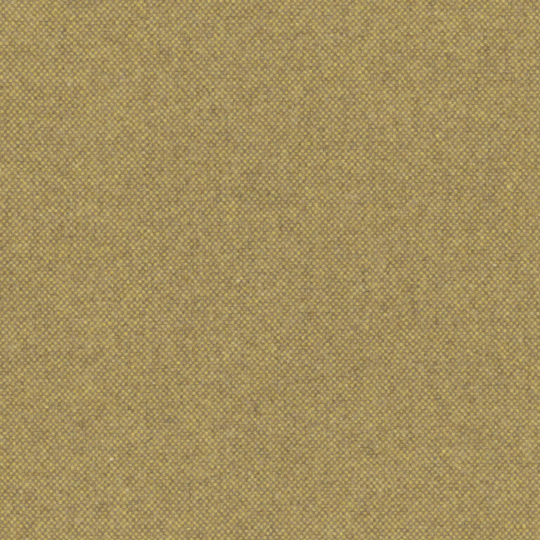 Mustard 05