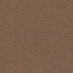 Redwood 14 | Arno