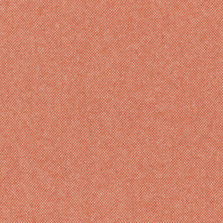 Grapefruit 17