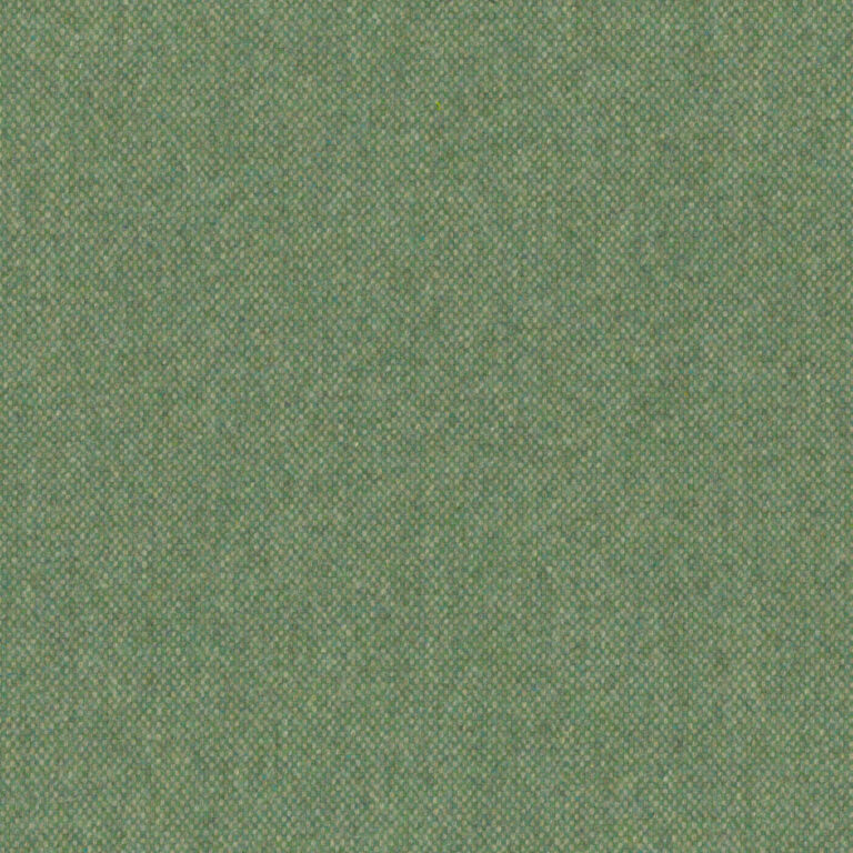 Grassland 33