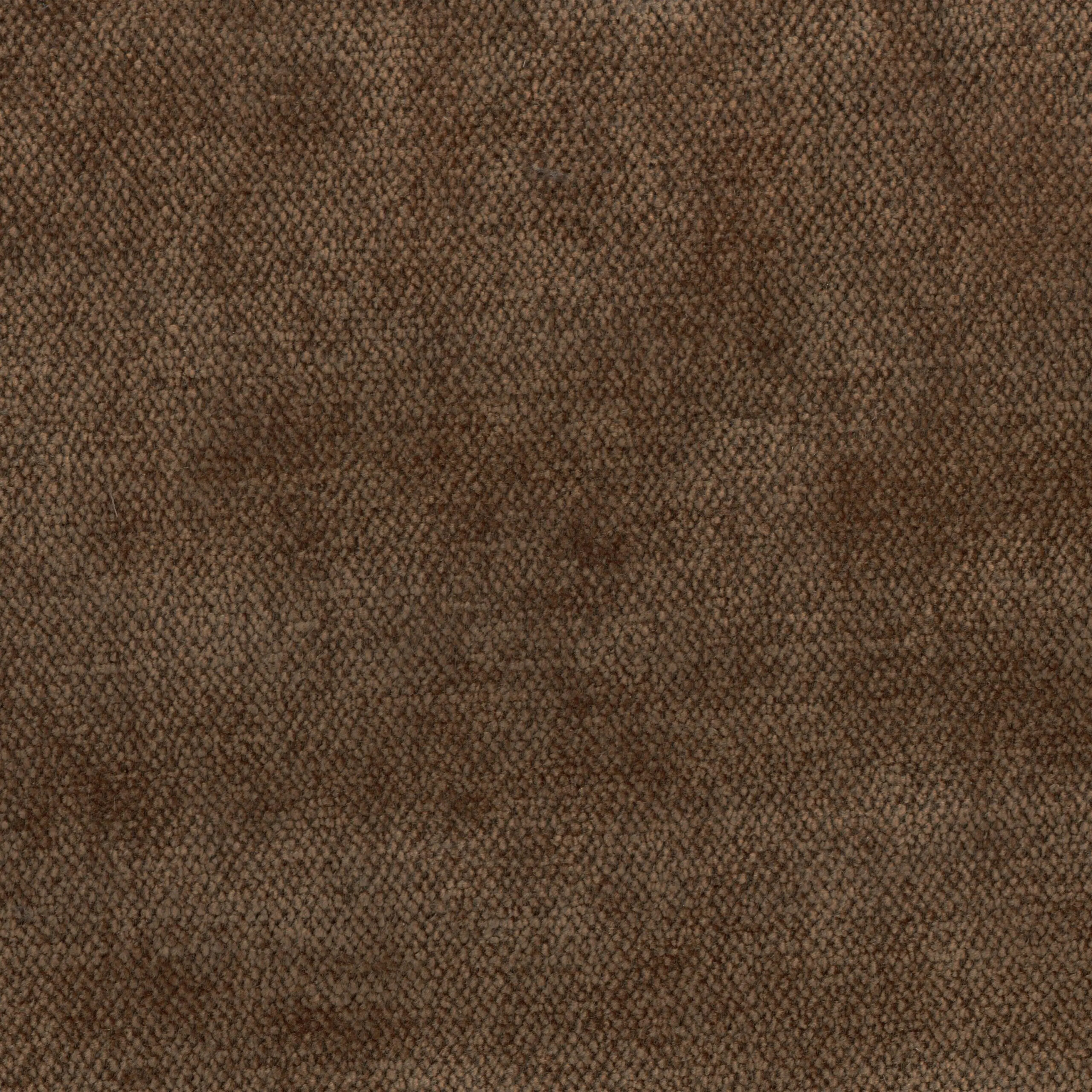 Walnut 210 | Asmara