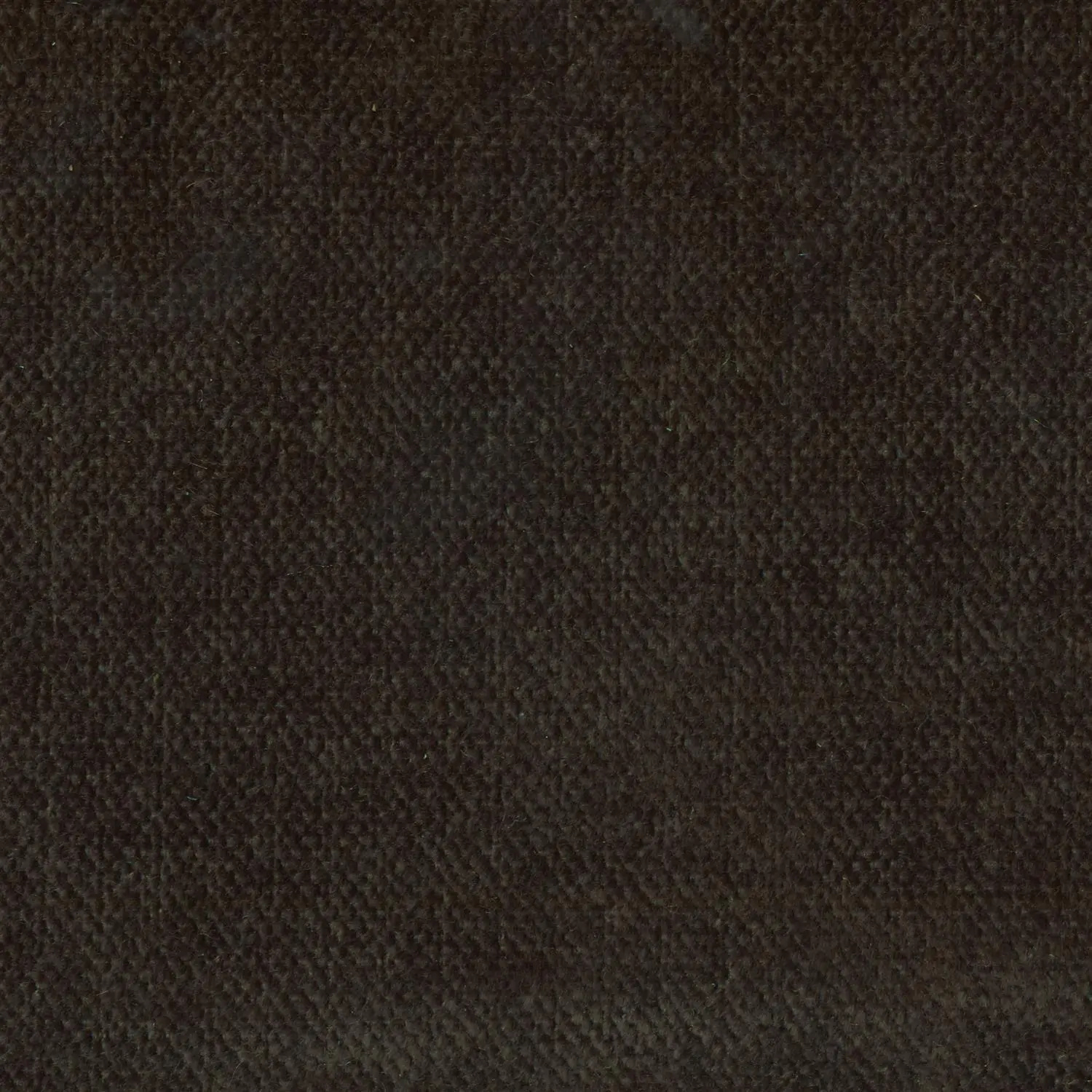 Pewter 405 | Asmara