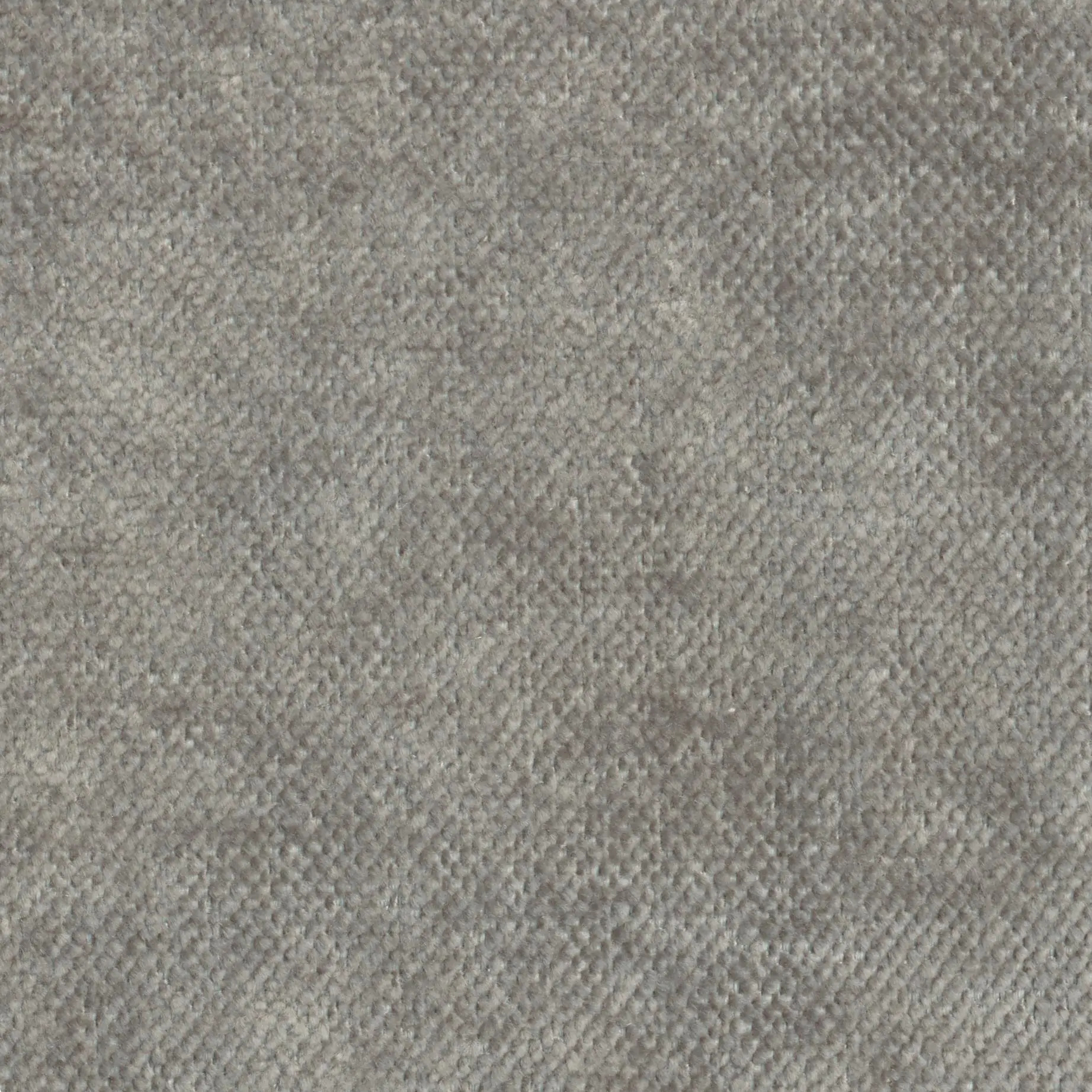 Pearl 851 | Asmara