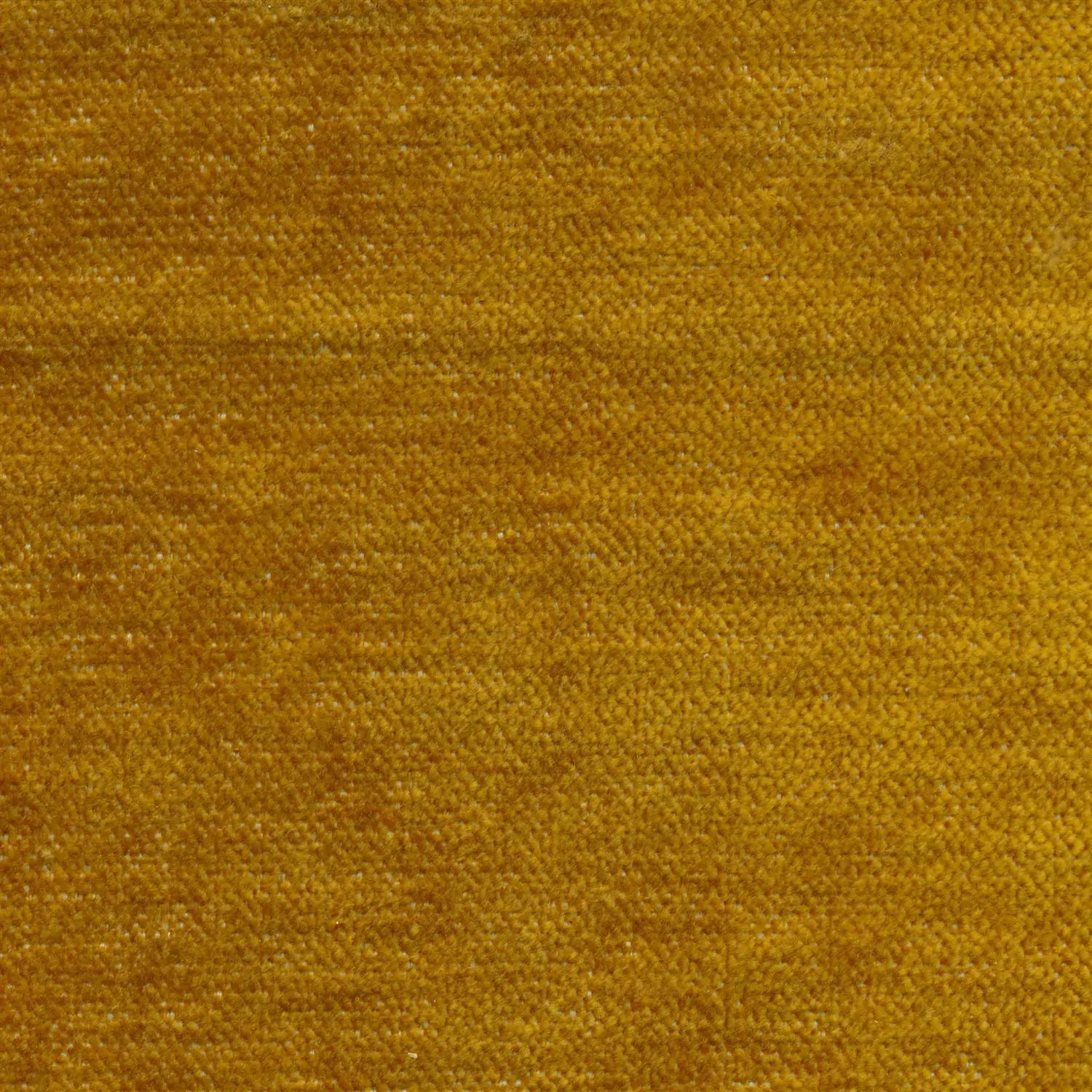 Gold 853 | Asmara