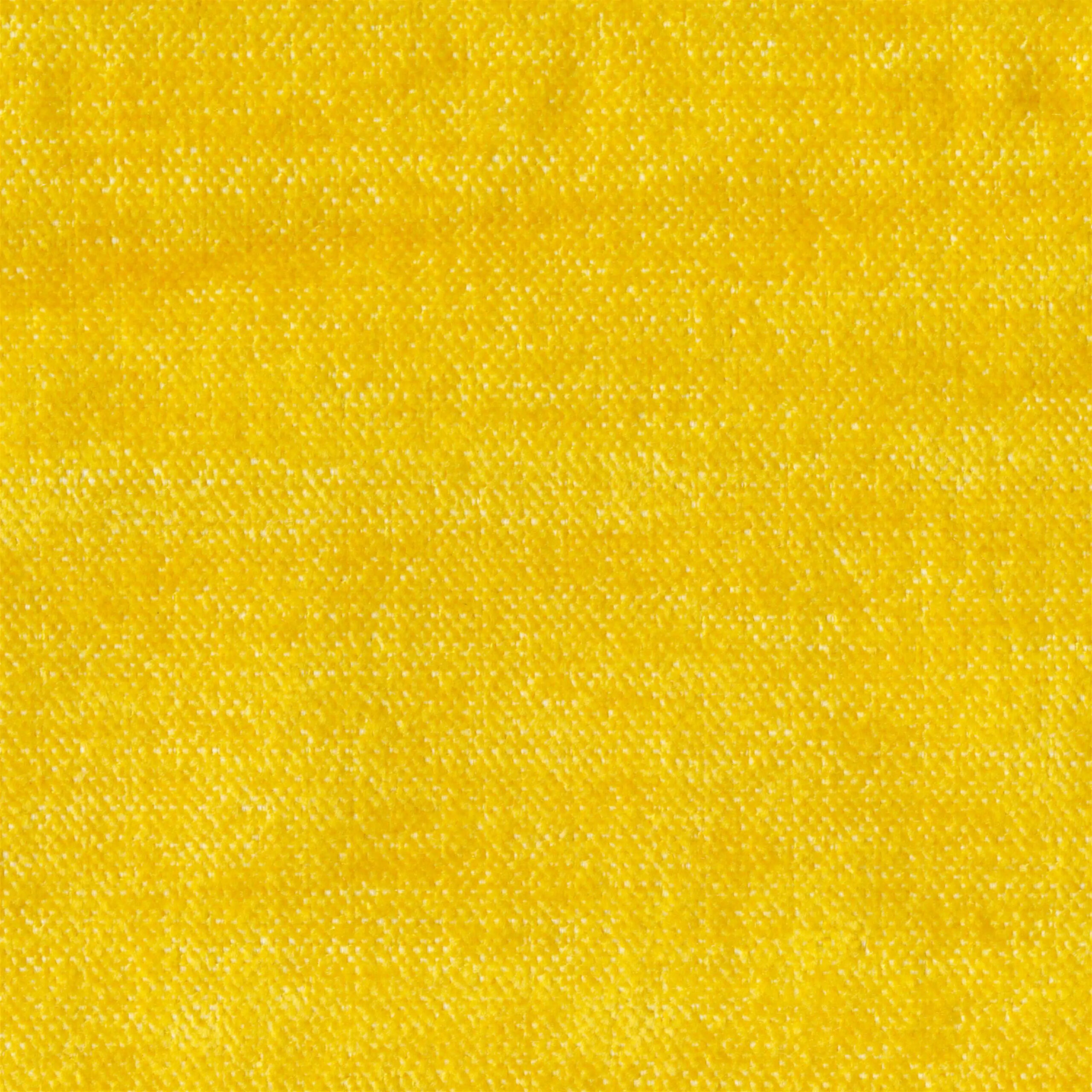 Sunflower 872 | Asmara