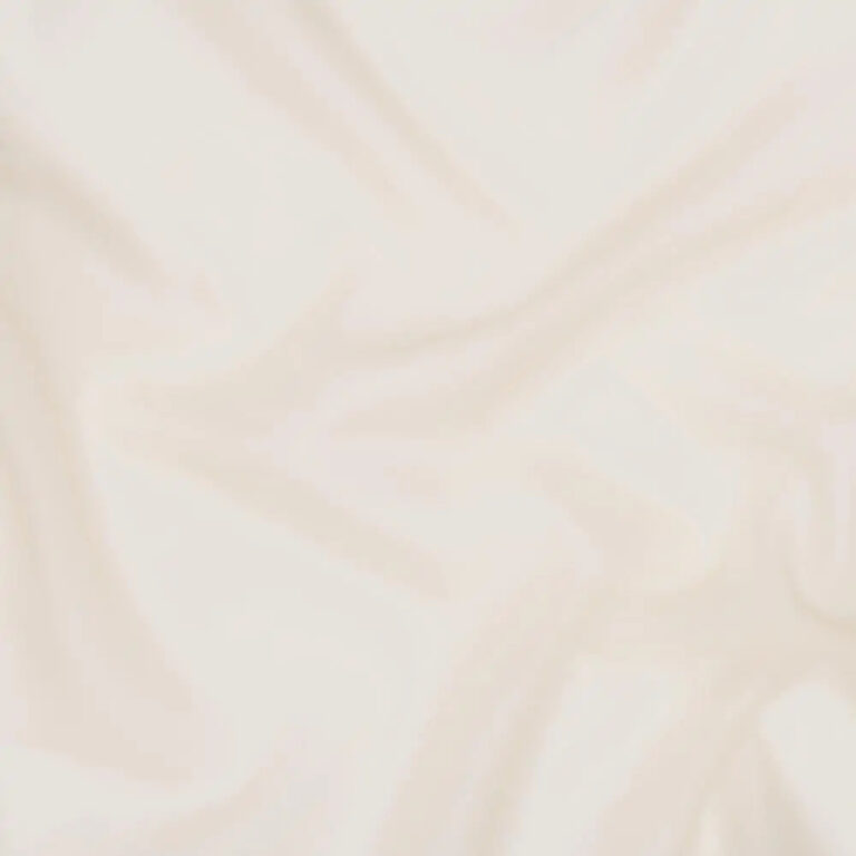 Pistachio Shell 04