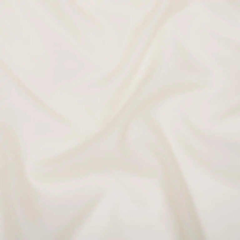 White Asparagus 05