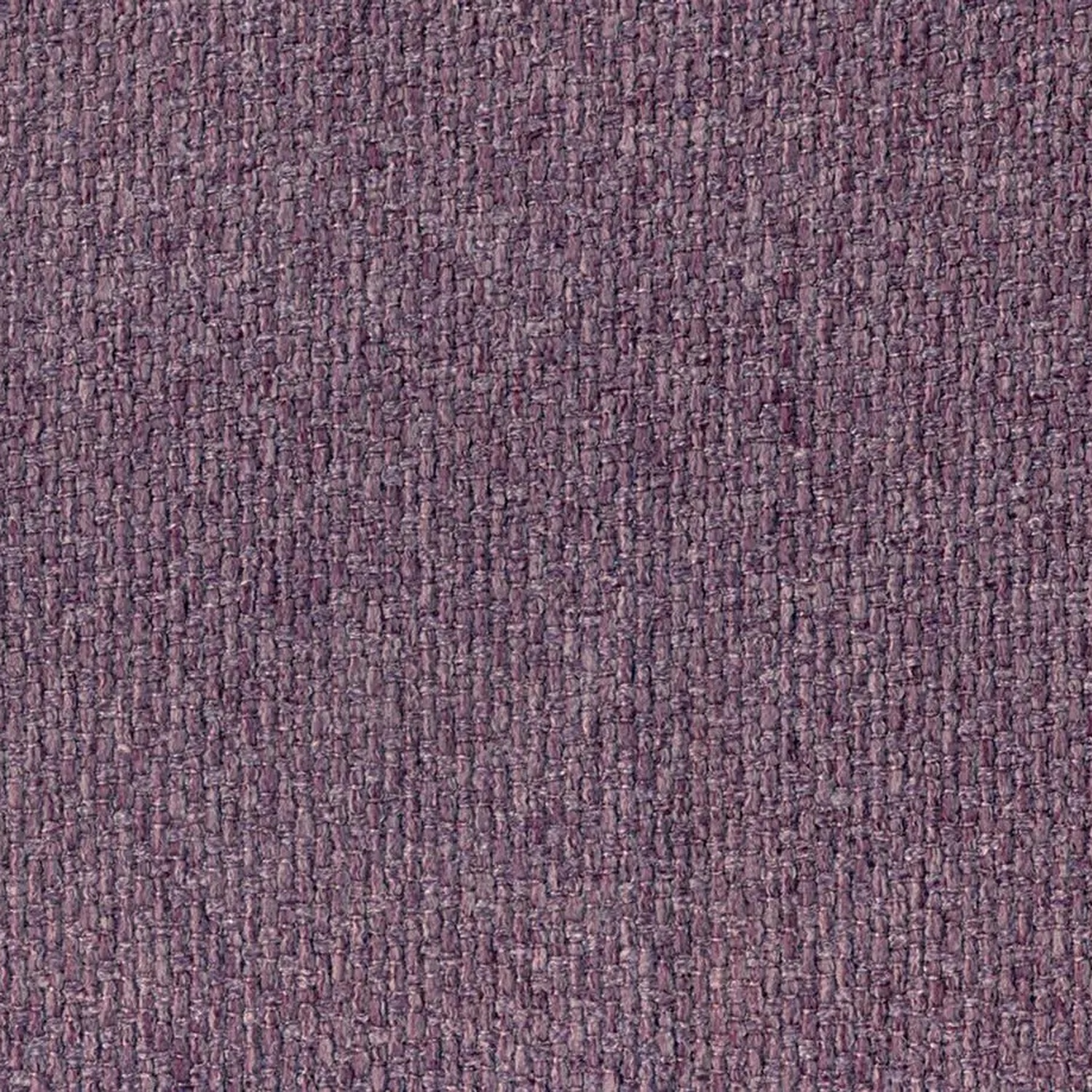 Lilac 003 | Barolo