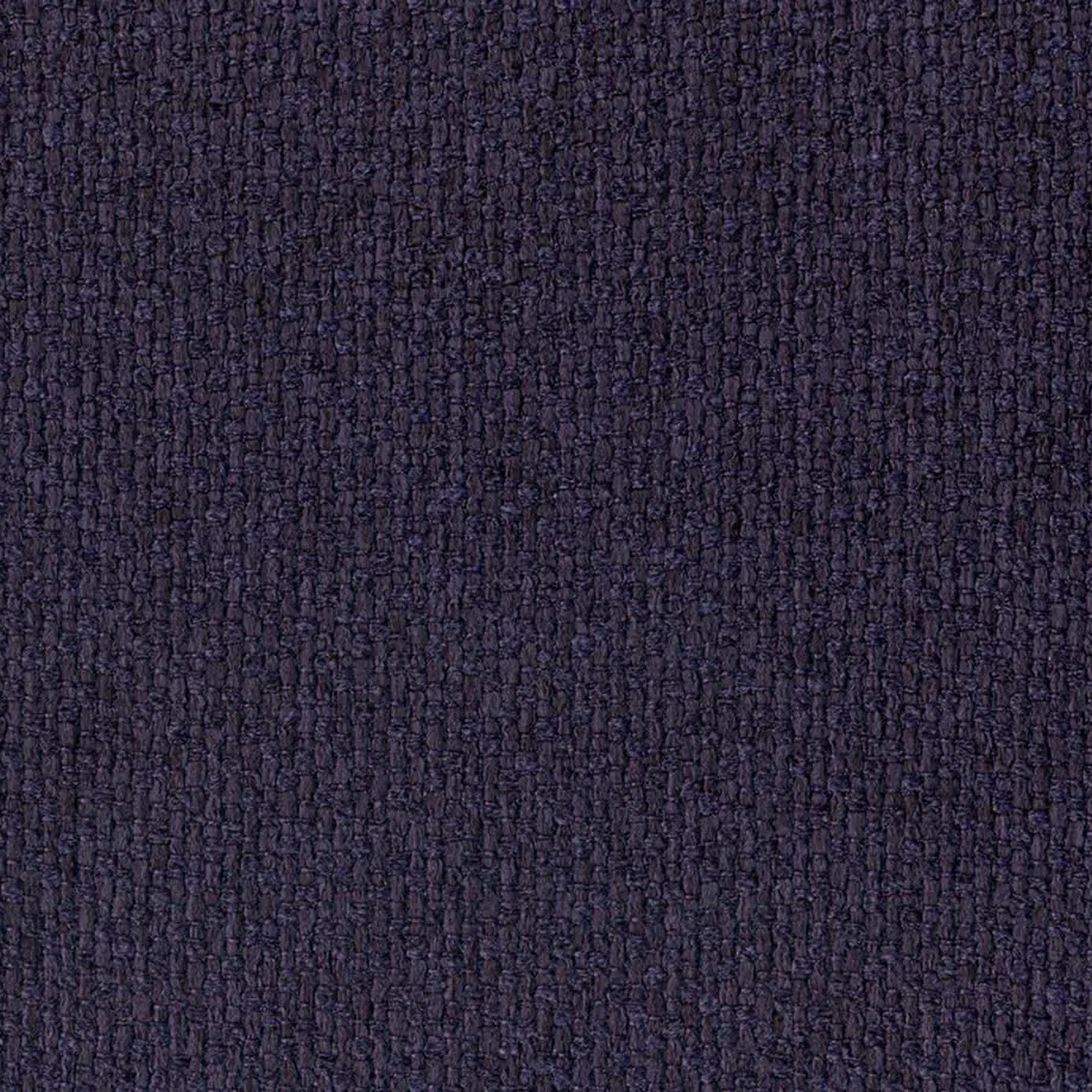 Plum 006 | Barolo