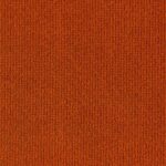 Carrot 301 | Barolo