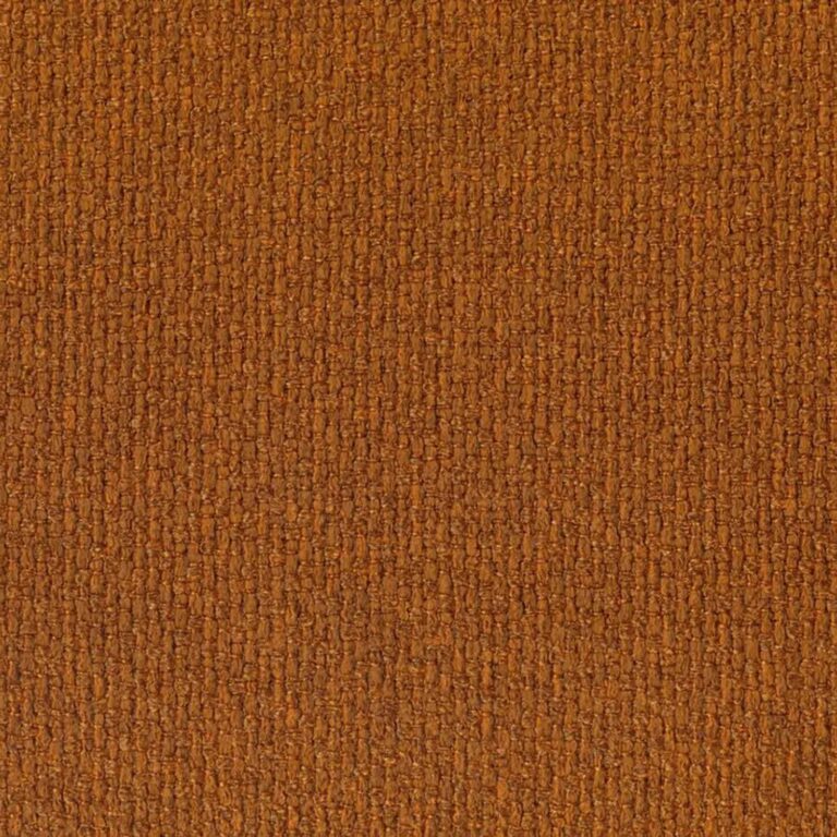 Ginger 307
