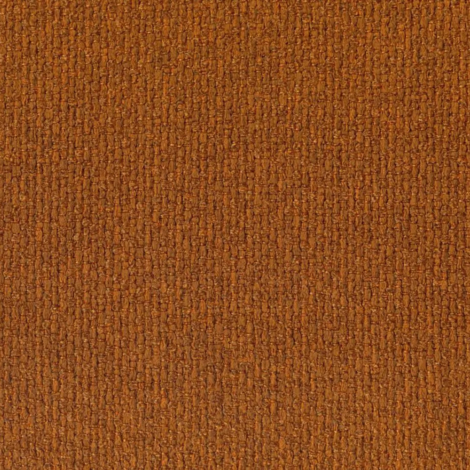 Ginger 307 | Barolo