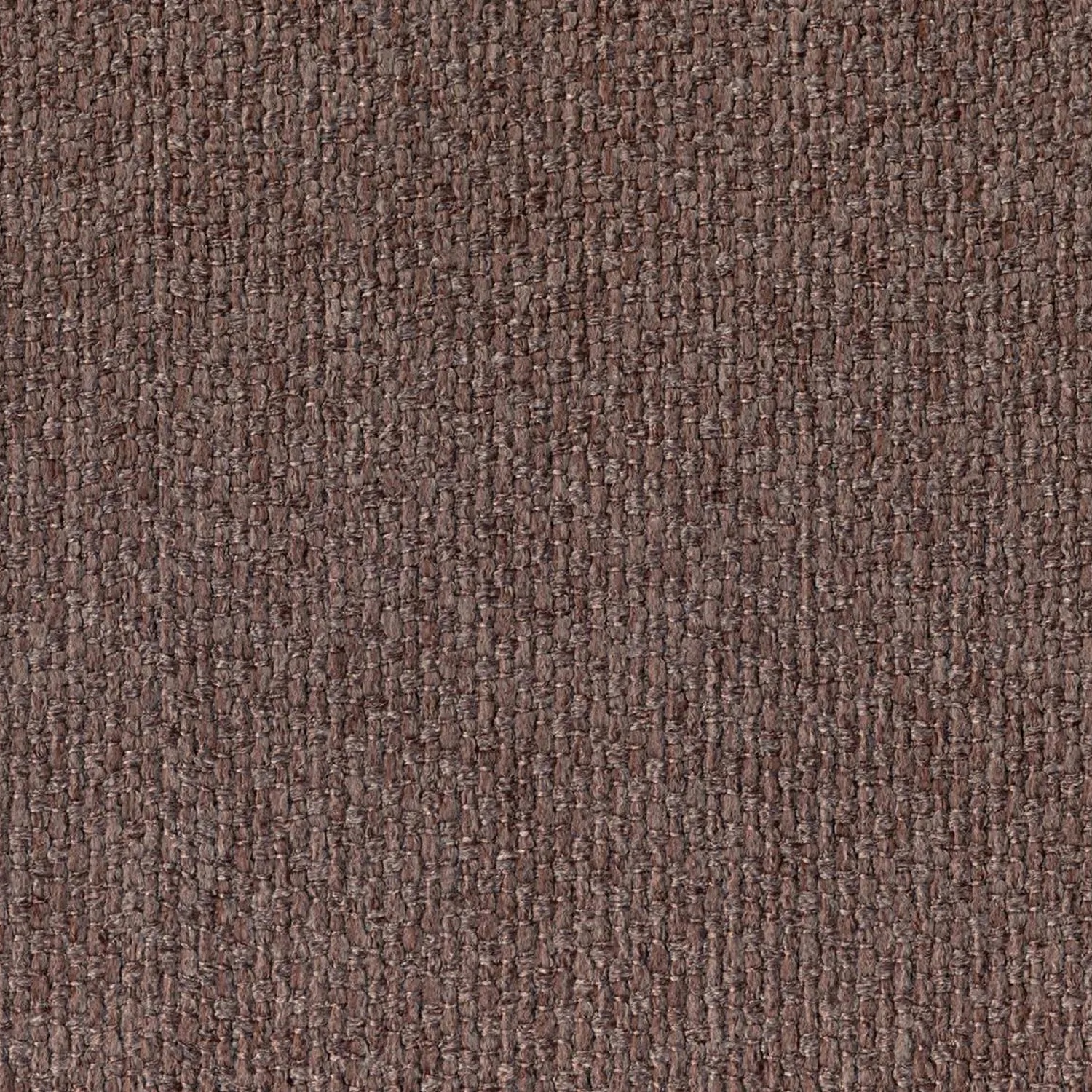 Bronze 402 | Barolo