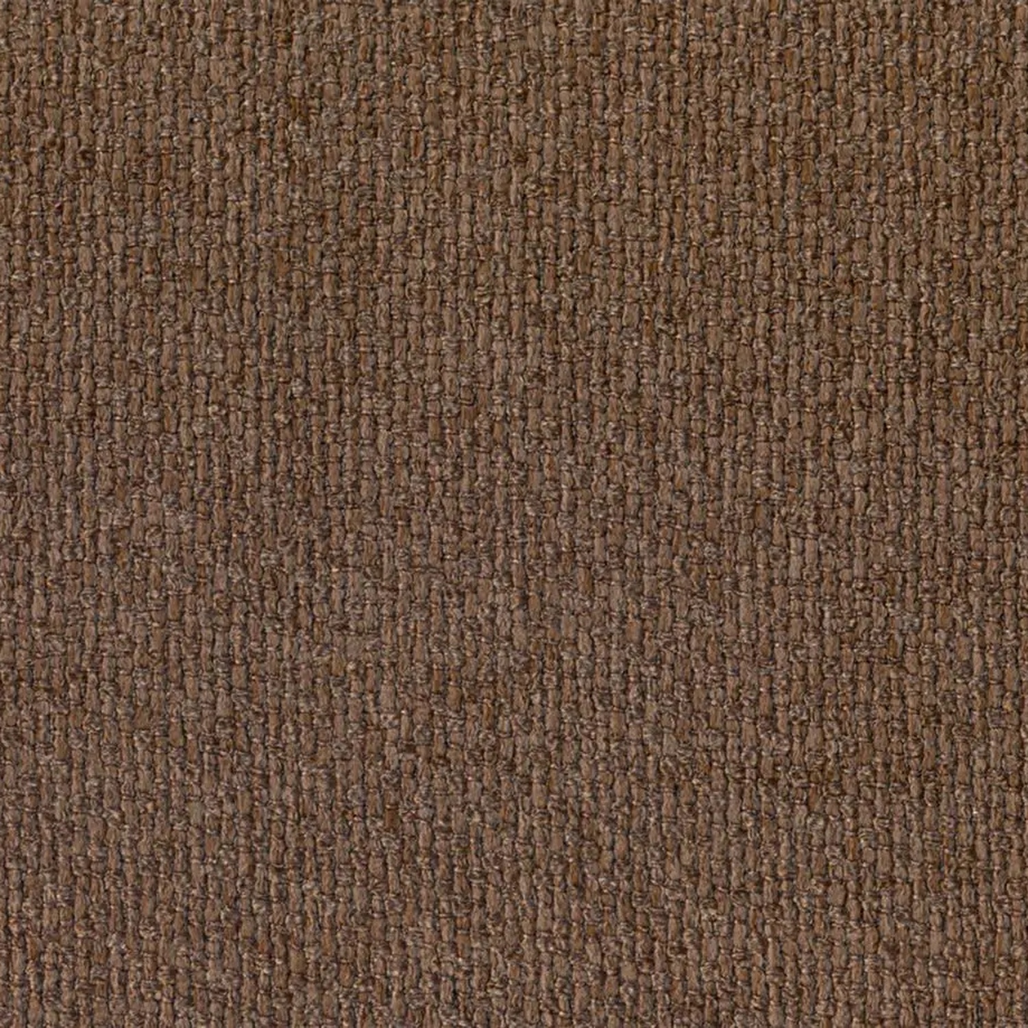Toffee 406 | Barolo