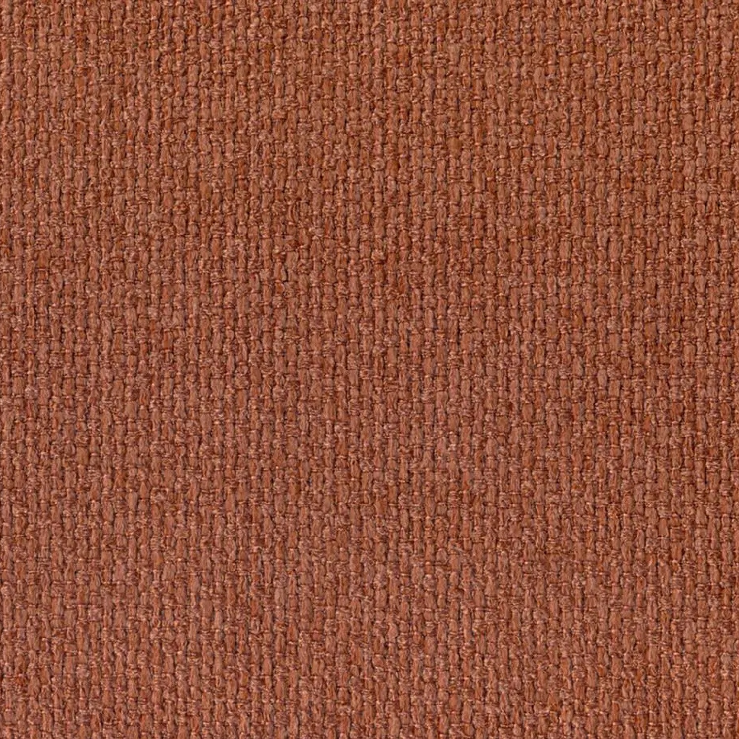 Rust 407 | Barolo