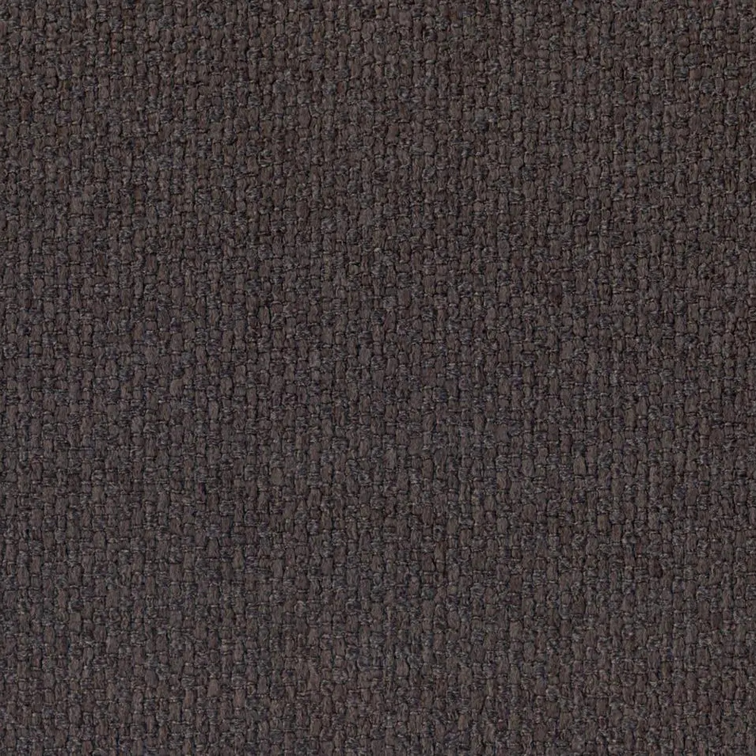 Nut 411 | Barolo