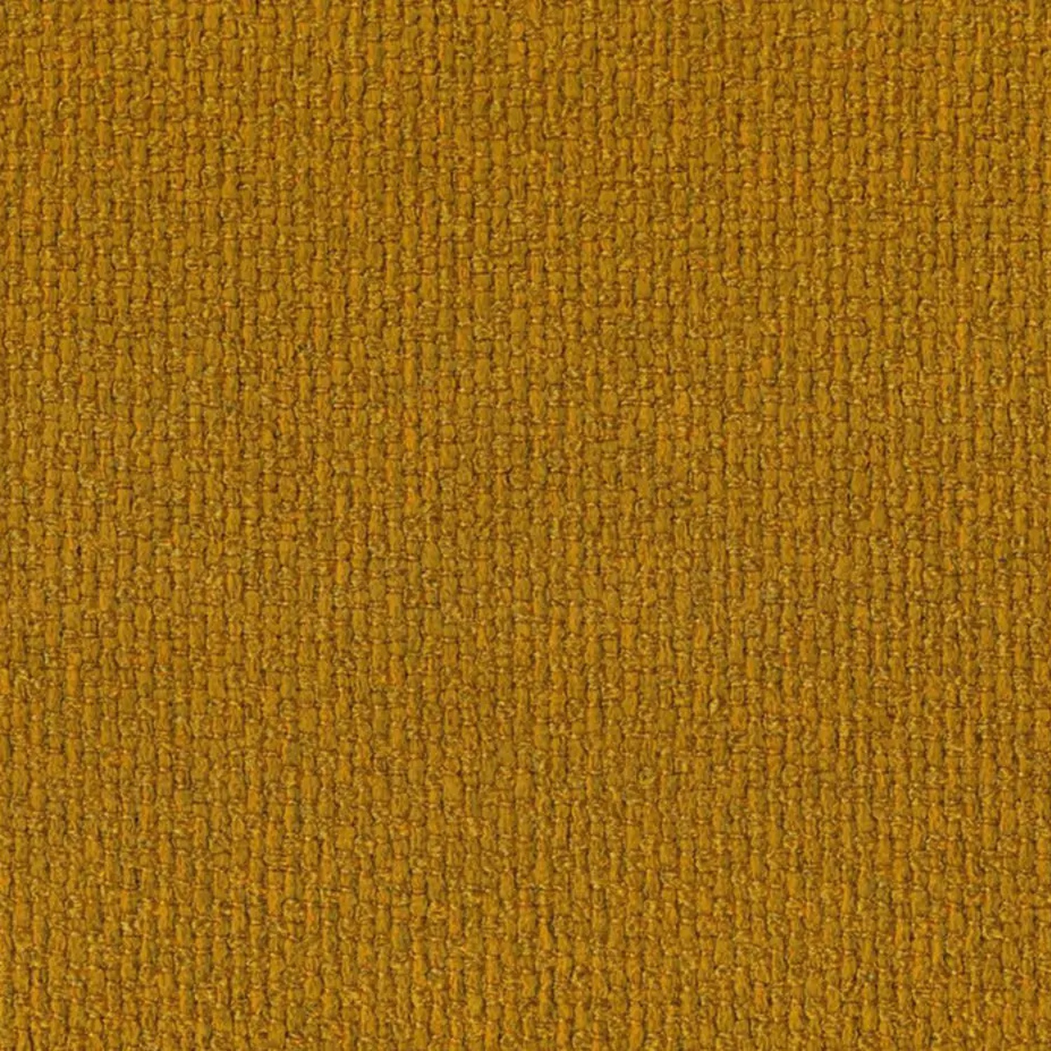 Honey 500 | Barolo