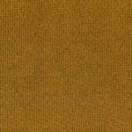 Mustard 503 | Barolo
