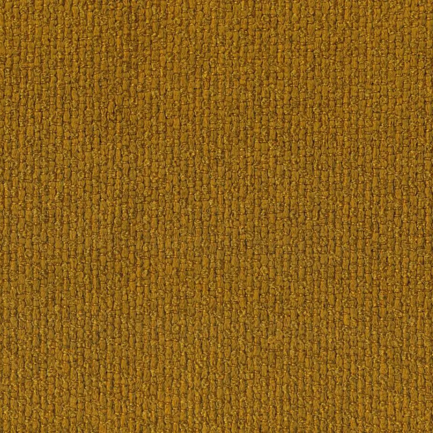 Mustard 503 | Barolo