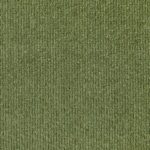 Grass 800 | Barolo