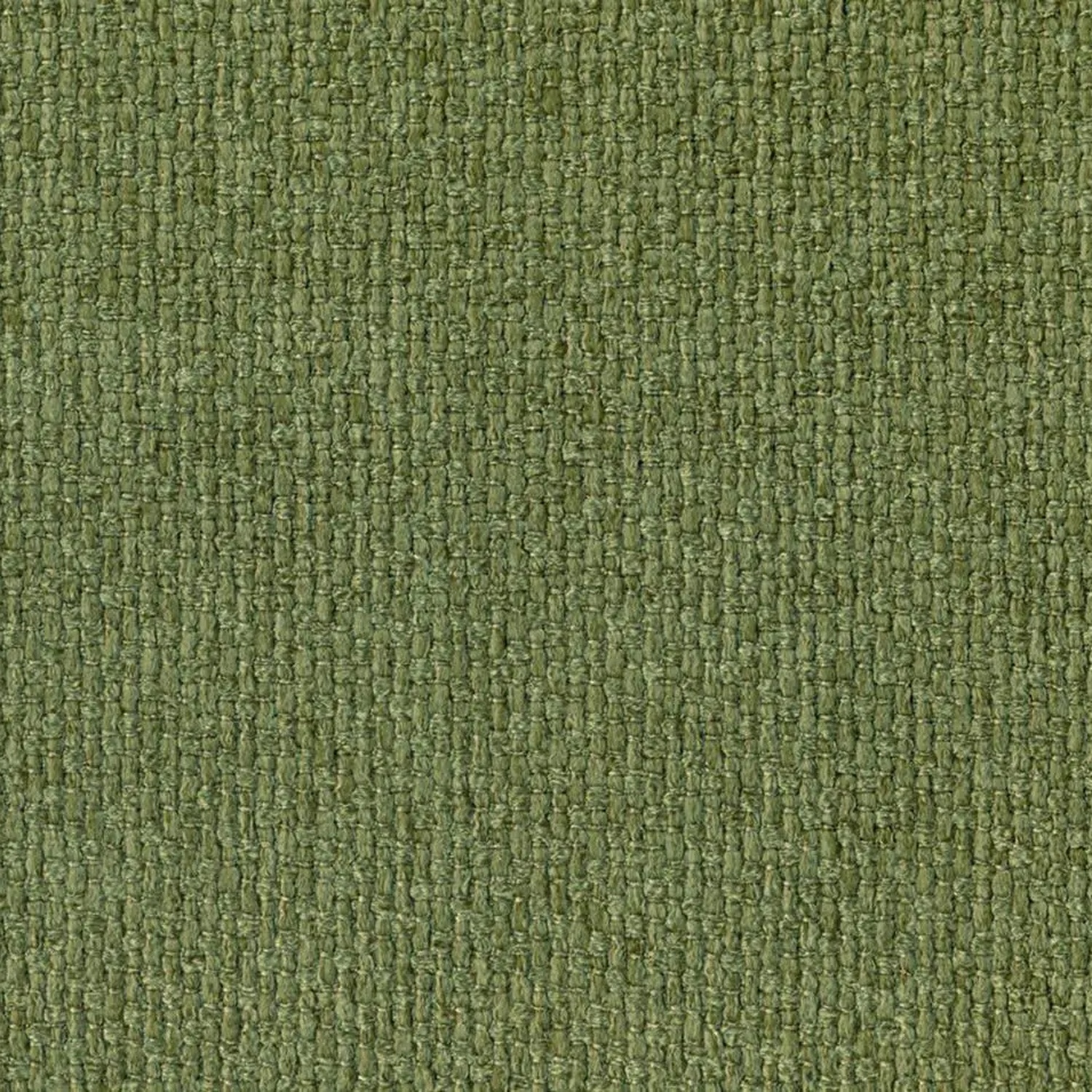 Grass 800 | Barolo