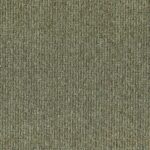 Sage 801 | Barolo