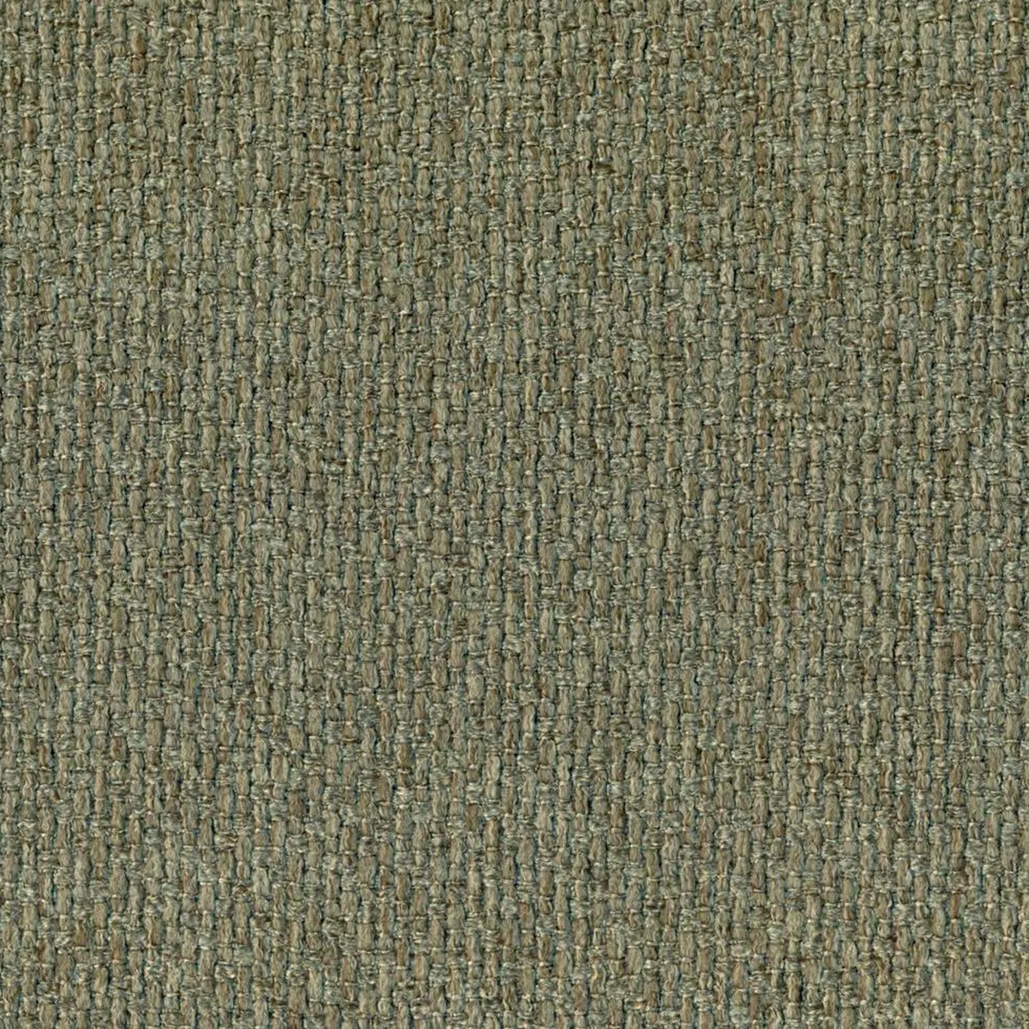 Sage 801 | Barolo