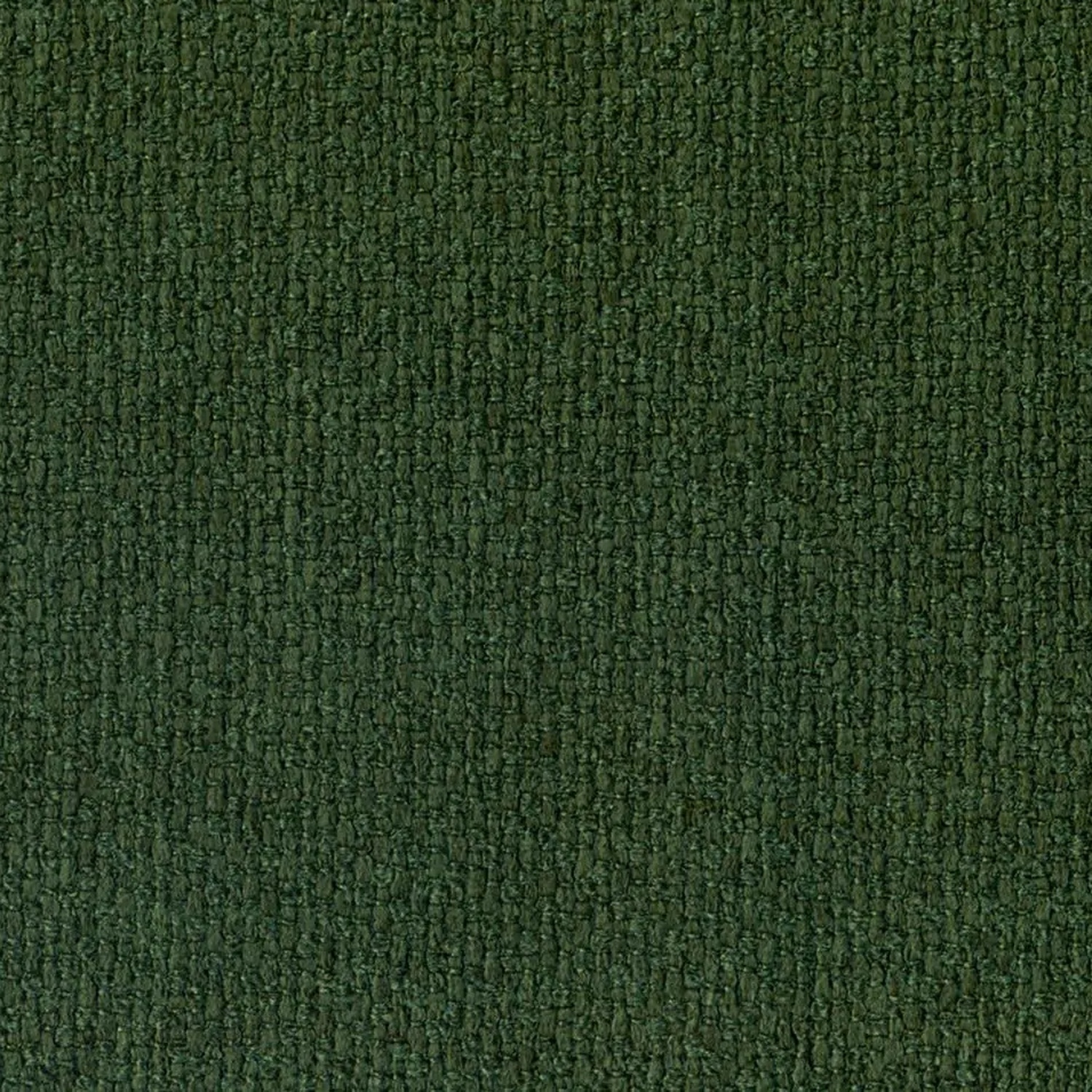 Pine 803 | Barolo