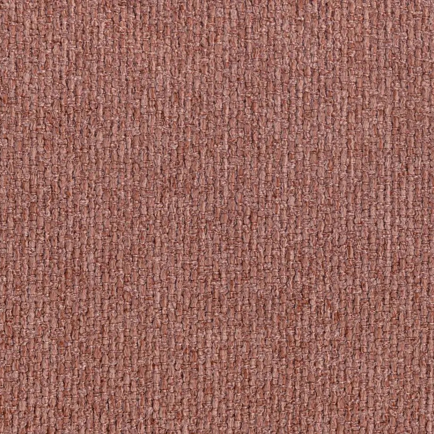 Blush 901 | Barolo