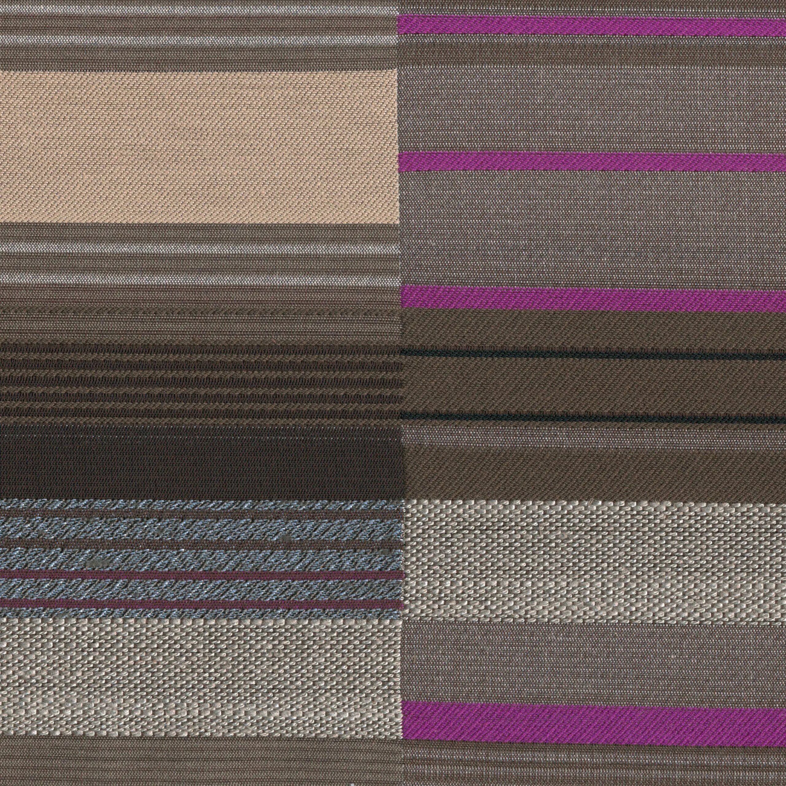 Fuchsia 41 | Bartel