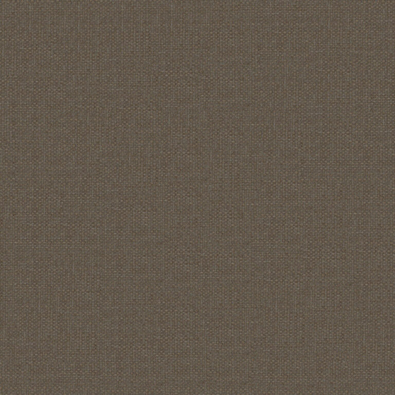 Walnut 06