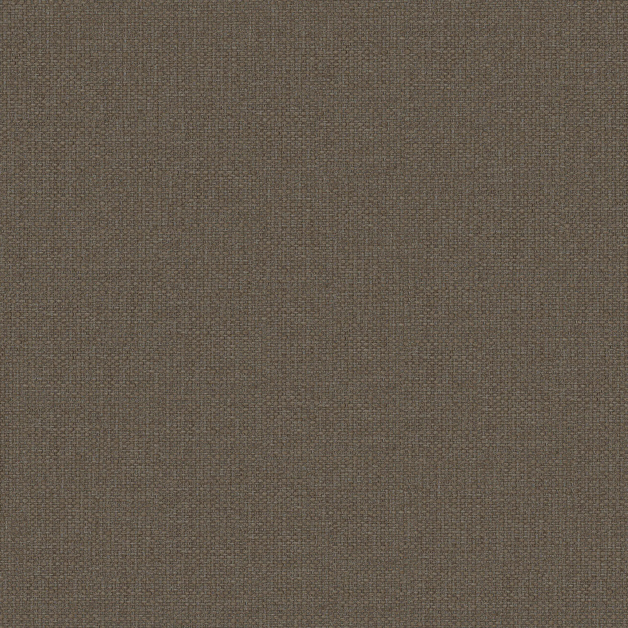 Walnut 06 | Baryt