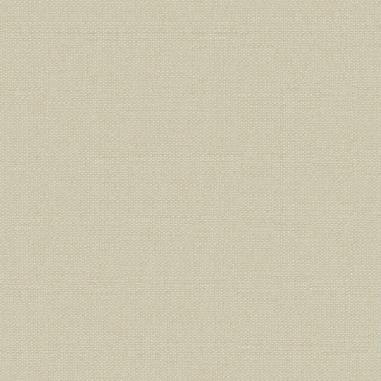 Ivory 11