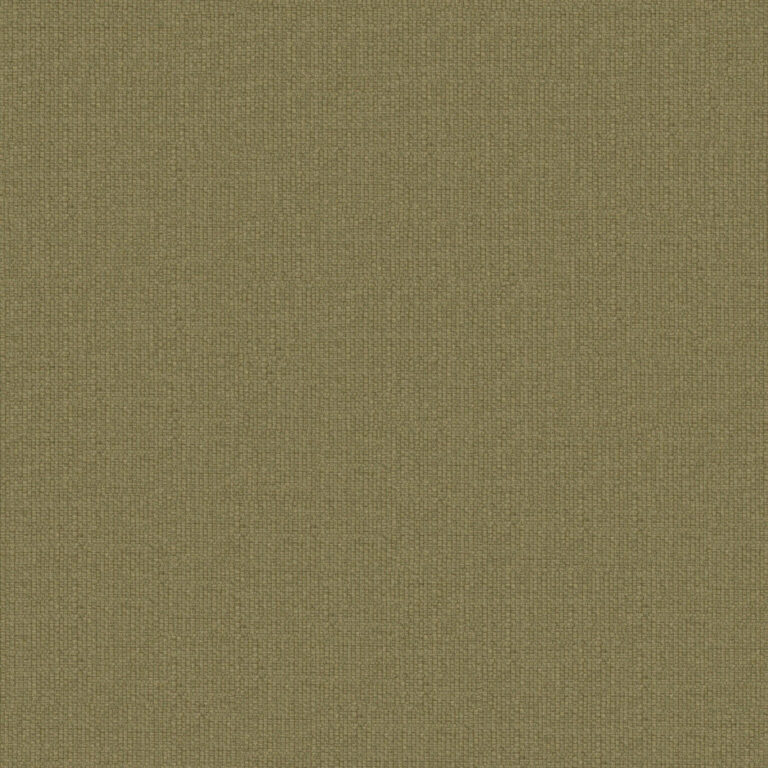 Fern 33