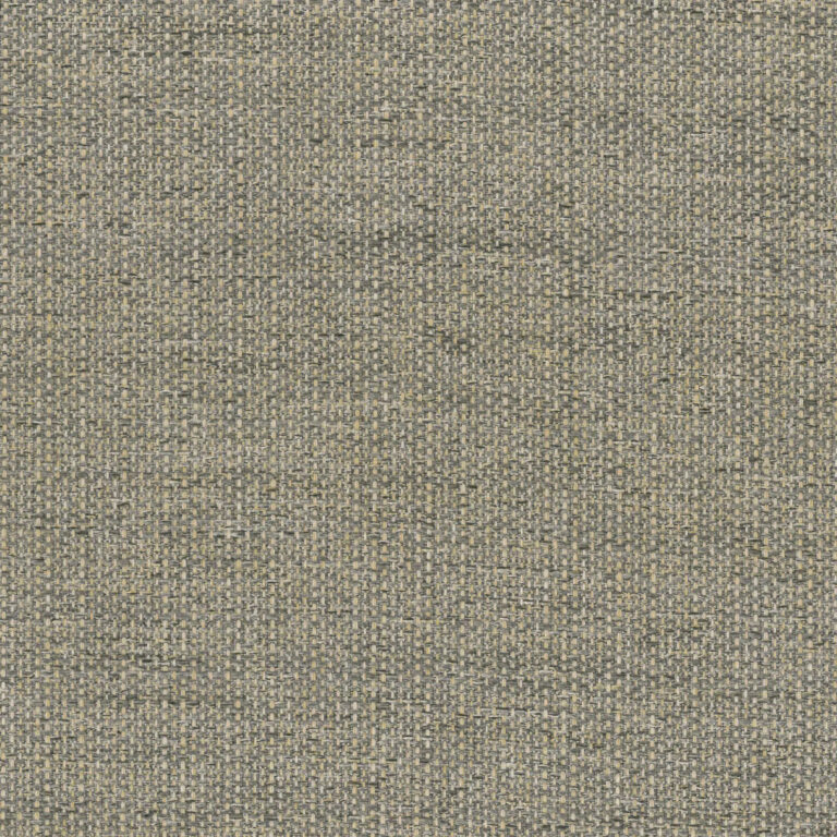 Fossil 47