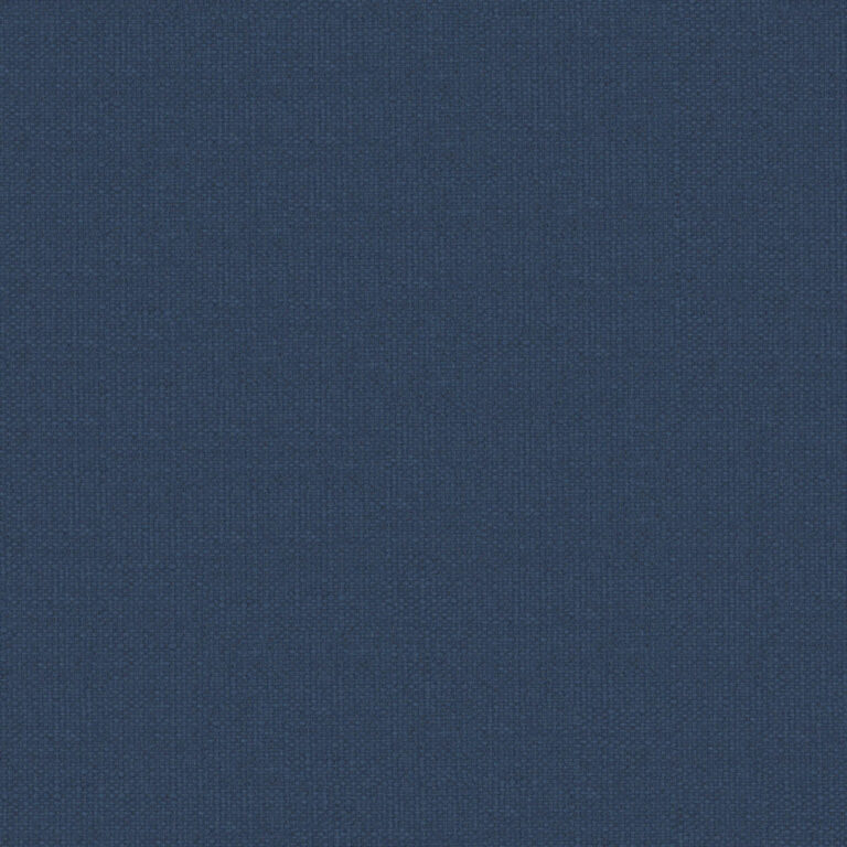 Indigo 53