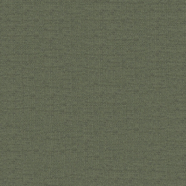 Olive 58