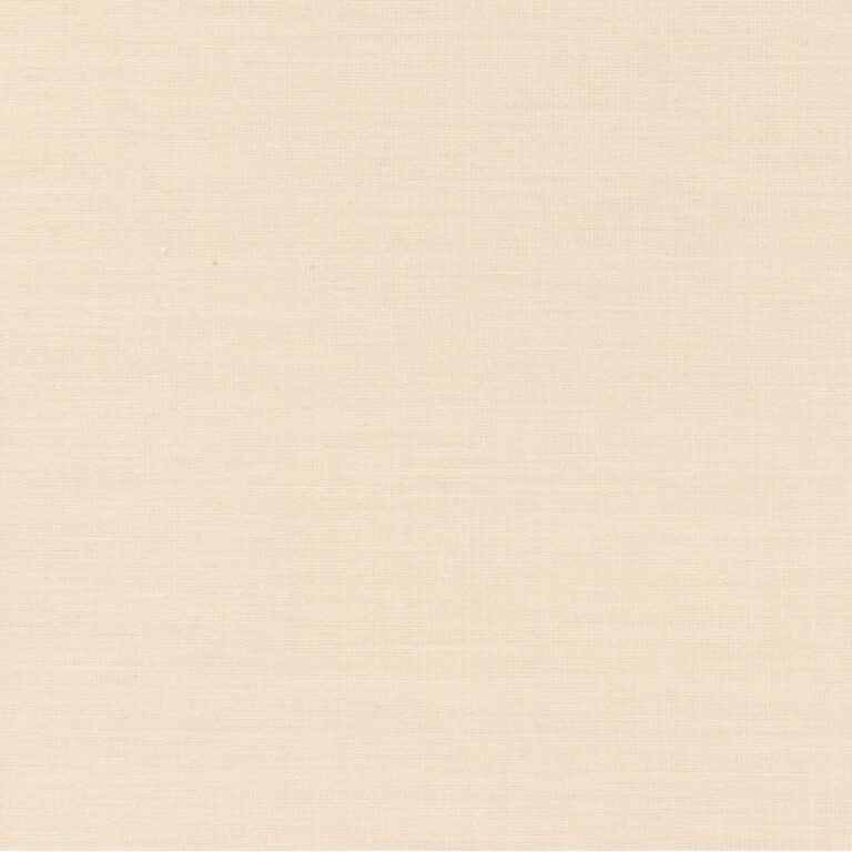 Raffia 04