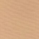 Beige 05 | Basil