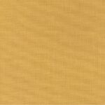 Gold 12 | Basil