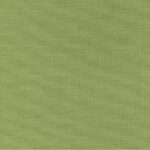 Olive 59 | Basil