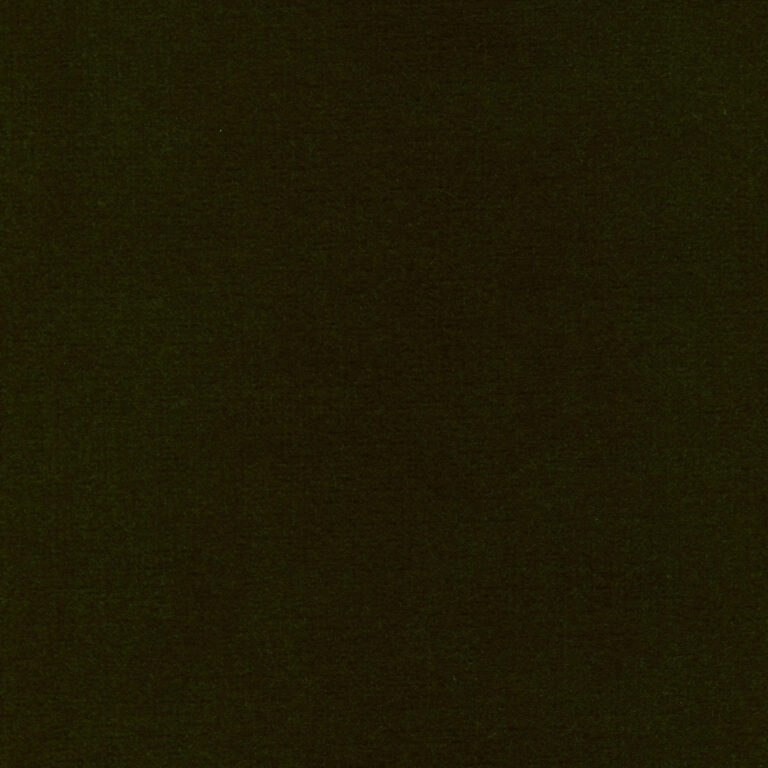 Kiwi 509