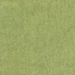 Celery 11 | Bona