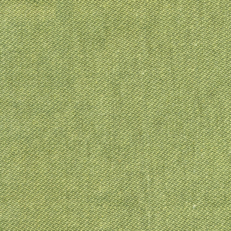 Celery 11