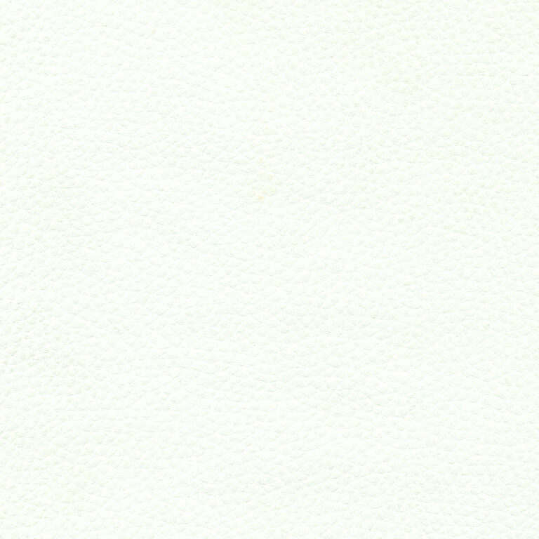 Snow 02